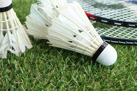 阵容并不令 阵容并不令